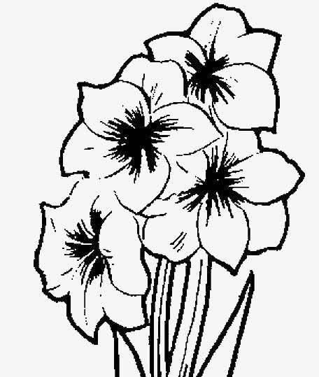 简单花朵简笔画