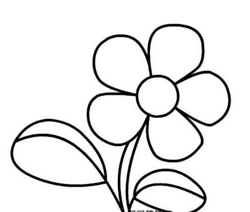 简笔画小花朵