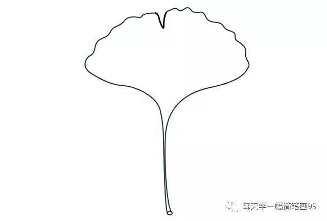 银杏简笔画