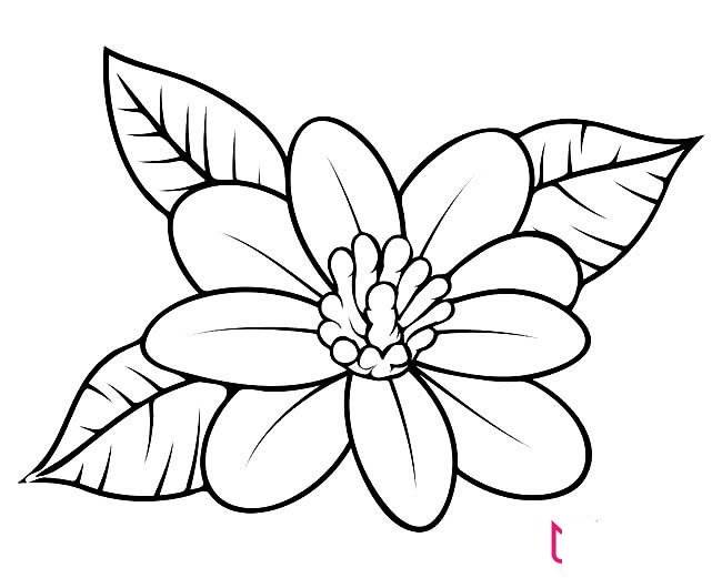 简笔画小花朵