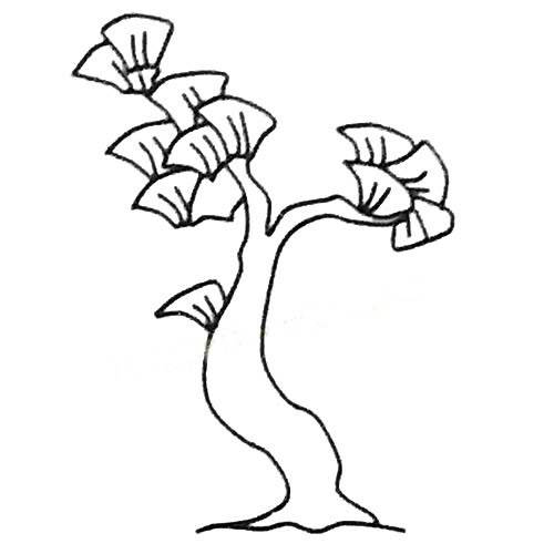 银杏简笔画