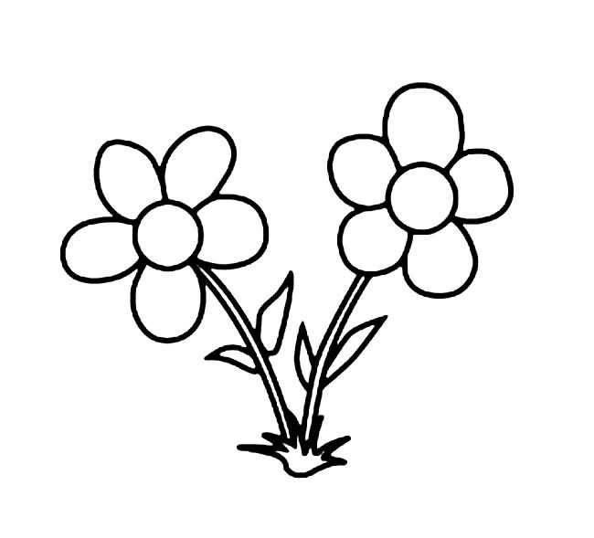 简单花朵简笔画