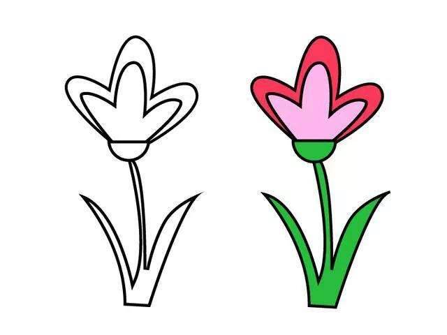简单花朵简笔画