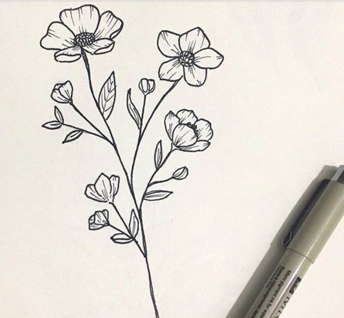 简单花朵简笔画
