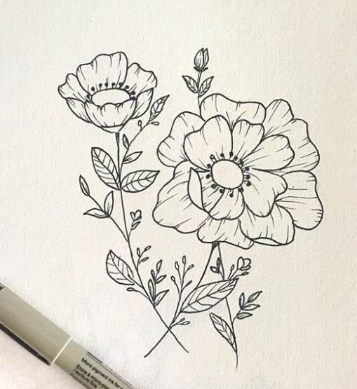 简单花朵简笔画