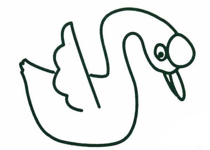 简笔画大白鹅