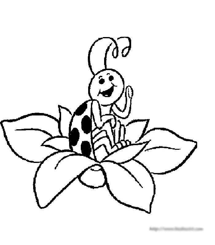 七星瓢虫简笔画