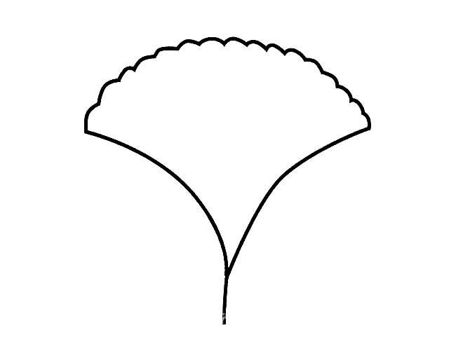 银杏简笔画