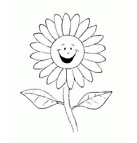 简笔画花图片大全