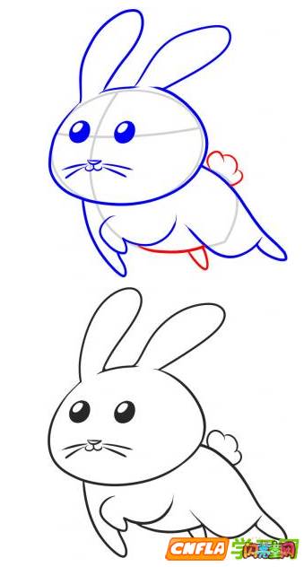 学画小白兔