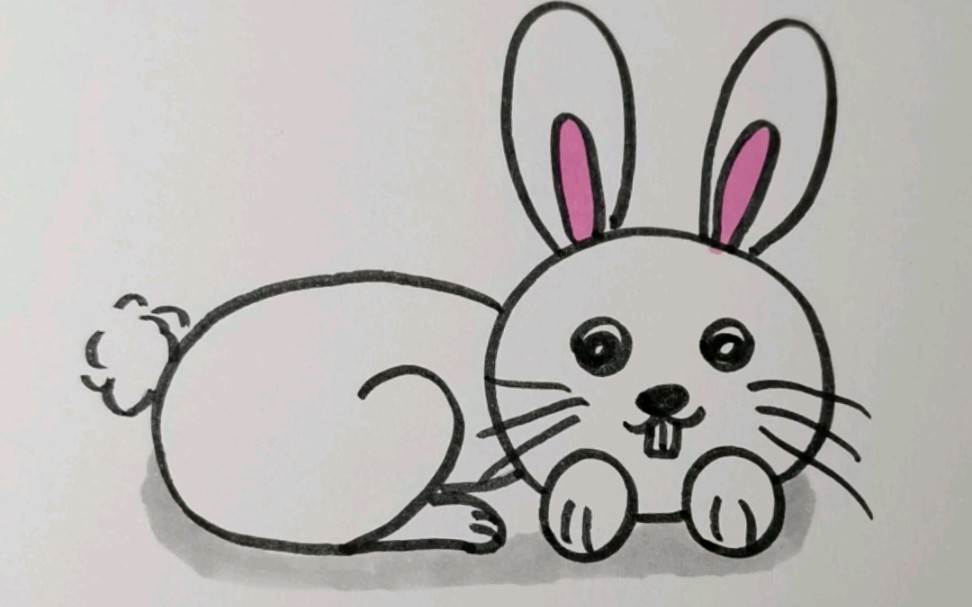 小兔子简笔画