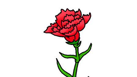 康乃馨简笔画