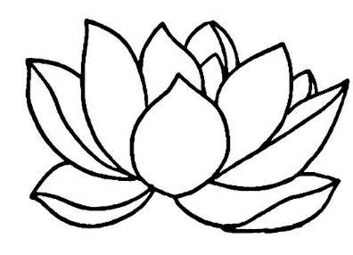 简笔画植物