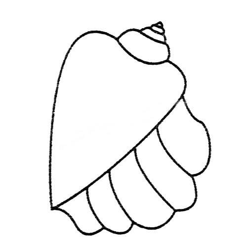 贝壳简笔画