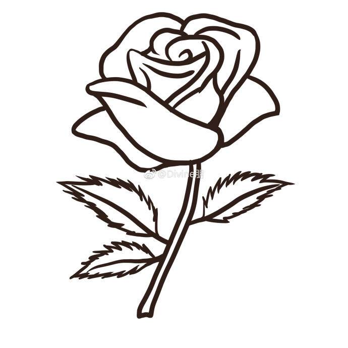 简笔画玫瑰花