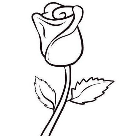 简笔画玫瑰花