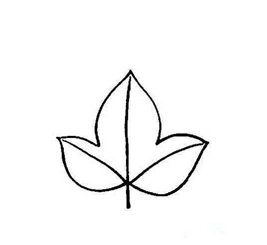 叶子图片简笔画