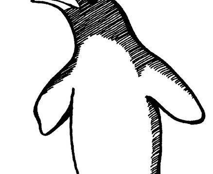 企鹅简笔画