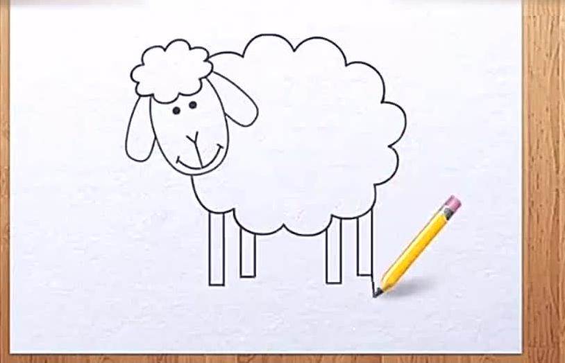 最新小绵羊画法图片