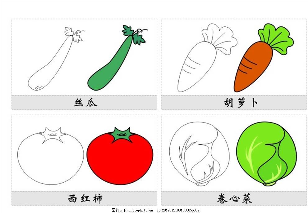 蔬菜图片简笔画