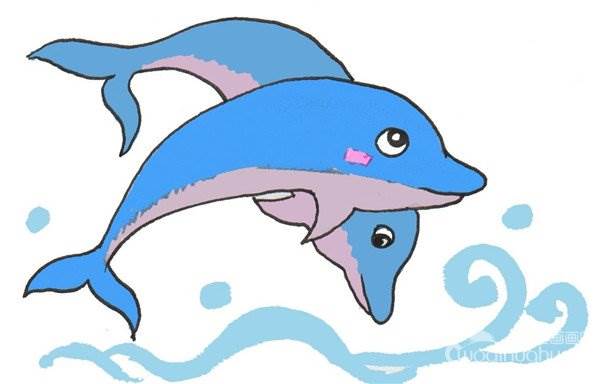 海豚的简笔画