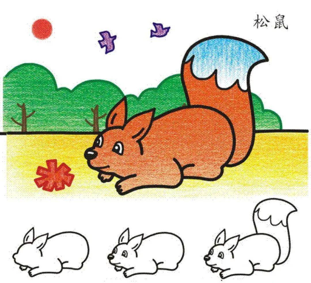 小松鼠简笔画
