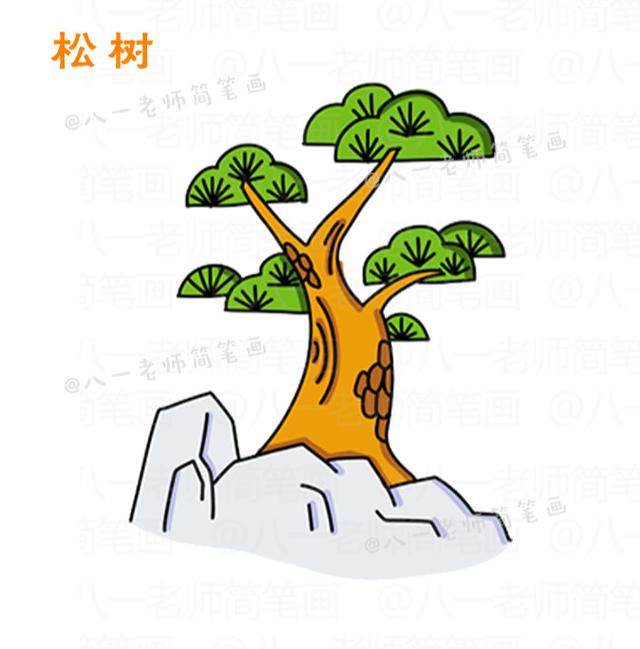松树图片简笔画