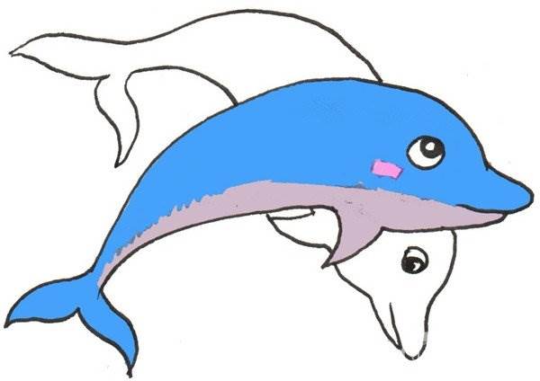 海豚的简笔画