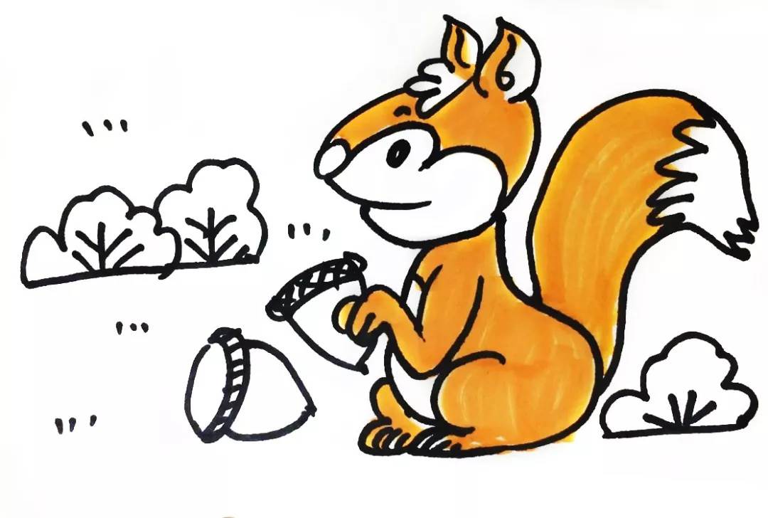 小松鼠简笔画
