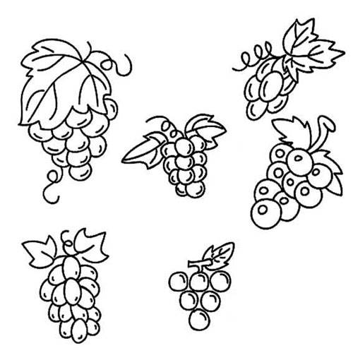 葡萄图片简笔画