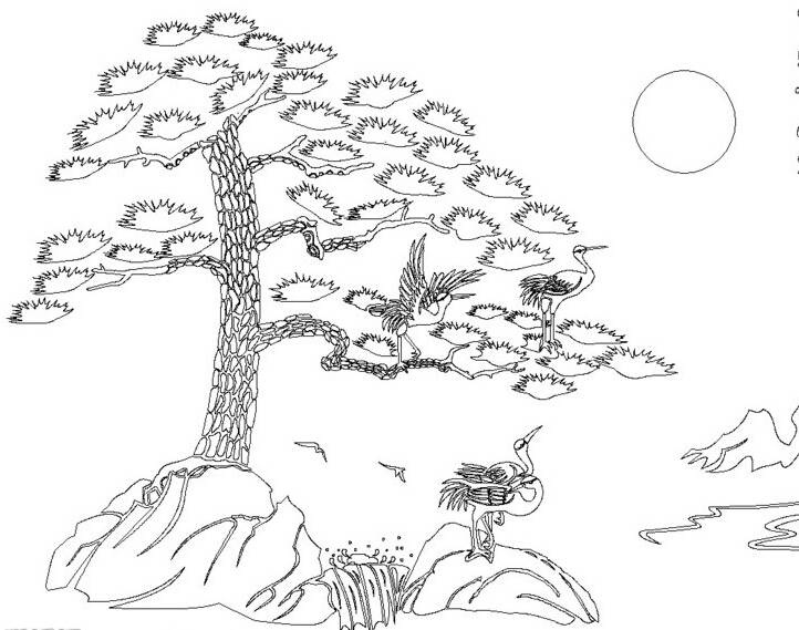 松树图片简笔画
