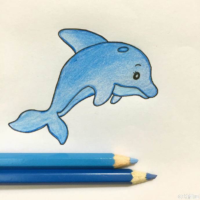 海豚的简笔画