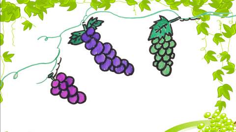 葡萄图片简笔画