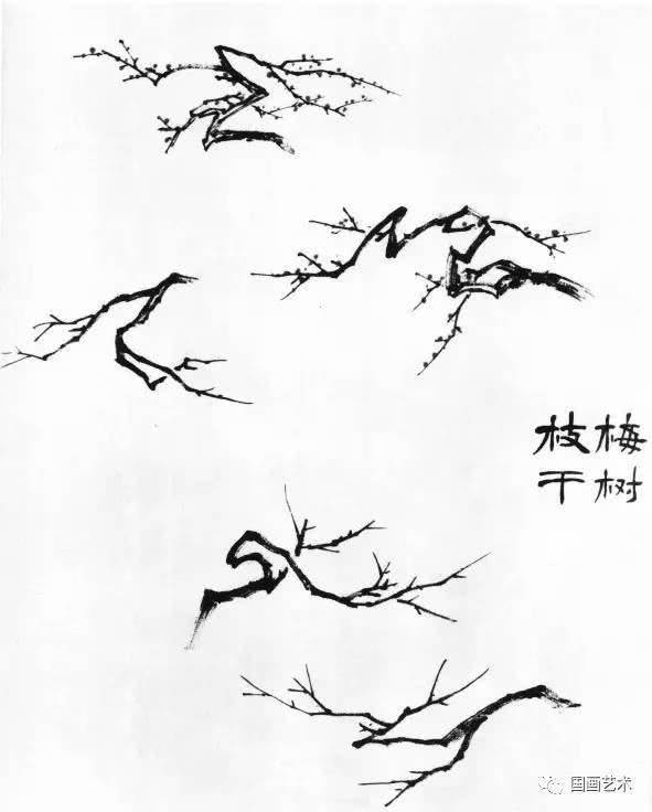 梅树简笔画