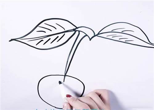 樱桃简笔画