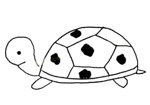 乌龟图片简笔画