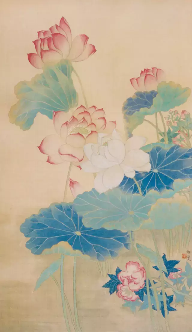 画荷花作品欣赏