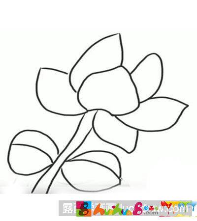 茉莉花简笔画