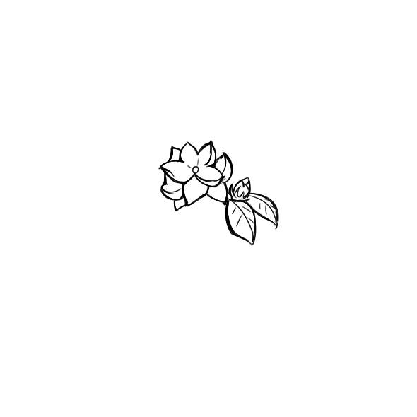 茉莉花简笔画