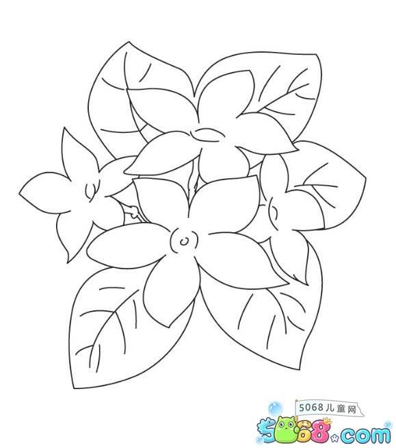 茉莉花简笔画