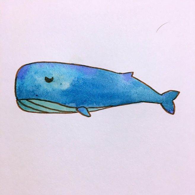 鲸鱼简笔画图片