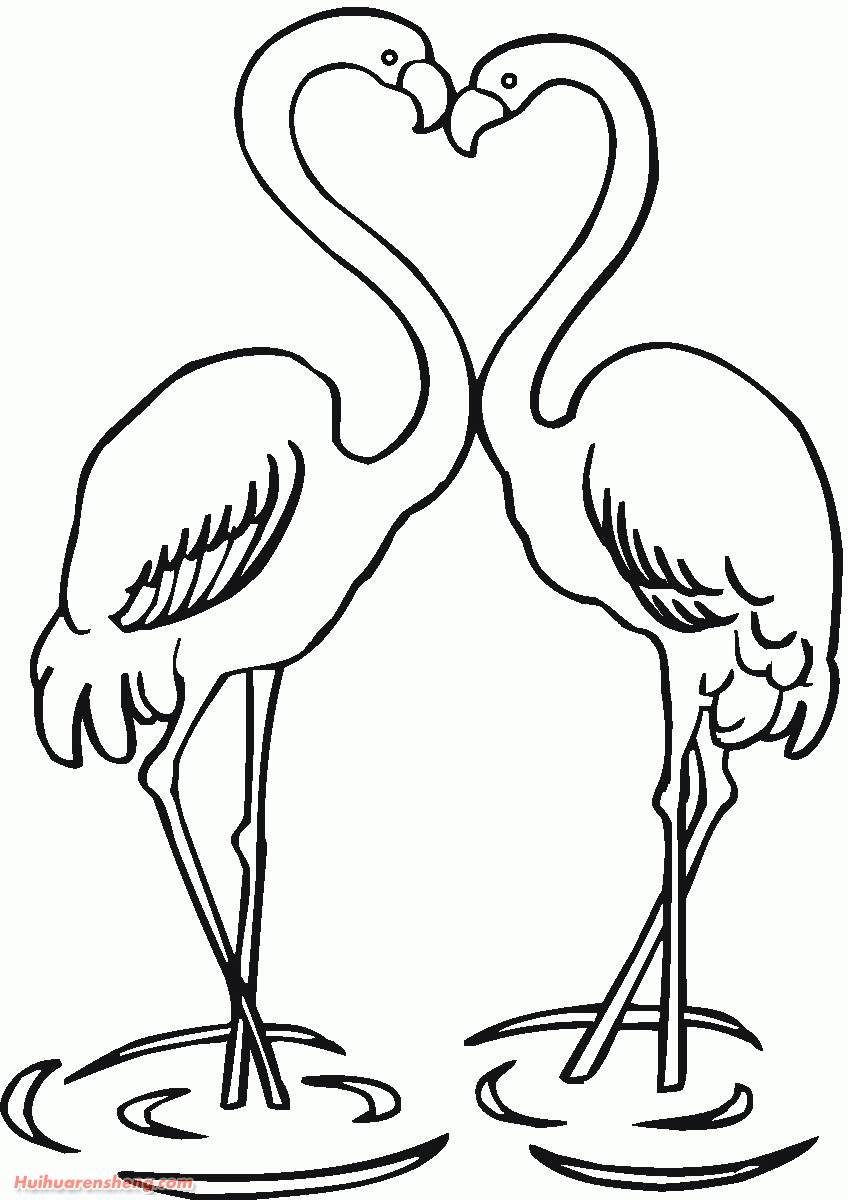 火烈鸟简笔画