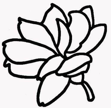 茉莉花简笔画