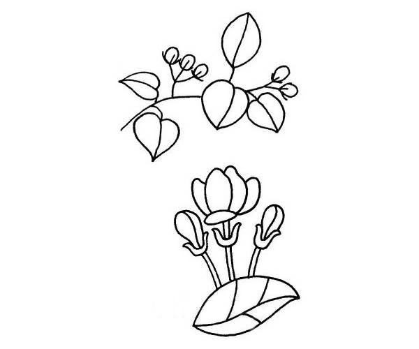 茉莉花简笔画
