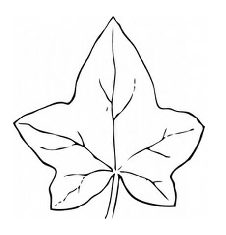 落叶简笔画