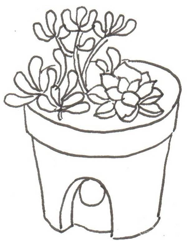 多肉植物简笔画