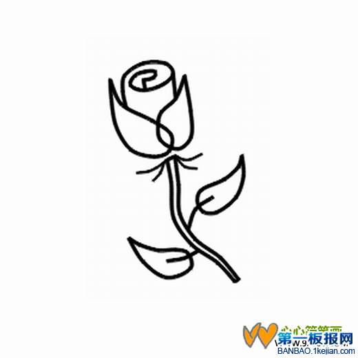 玫瑰花简笔