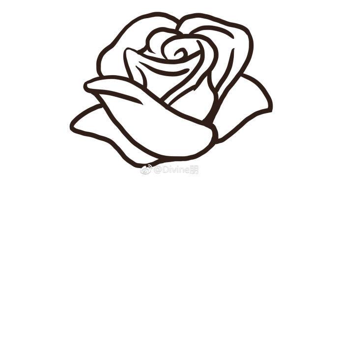 玫瑰花简笔