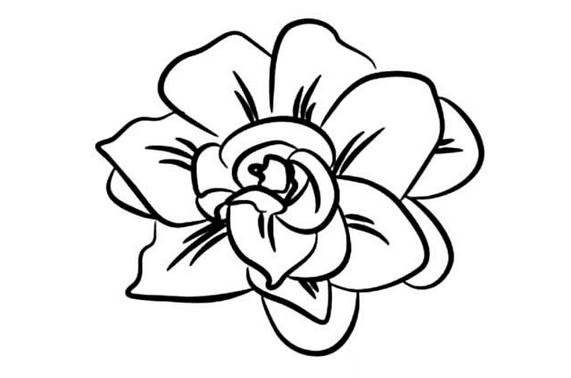 花朵简笔画图片