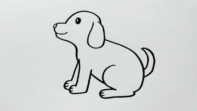 宠物简笔画
